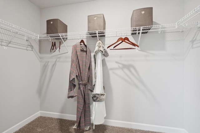 1905 Arbor Ln, Carver, MN 55315 - spacious closet featuring carpet