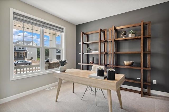 2997 Ironwood Blvd, Chaska, MN 55318 - photo 8