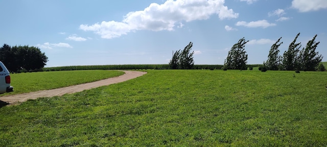 view of yard with a rural view