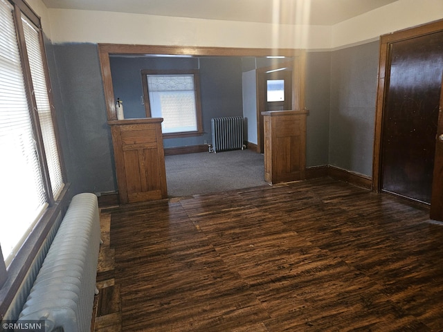 414 33rd Ave N, Minneapolis, MN 55412 - interior space with a healthy amount of sunlight, dark wood-style floors, and radiator
