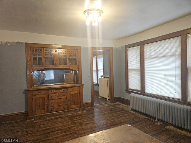 414 33rd Ave N, Minneapolis, MN 55412 - interior space featuring baseboards, radiator heating unit, and dark wood-style floors