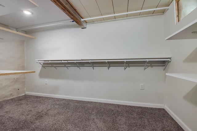 spacious closet featuring carpet flooring