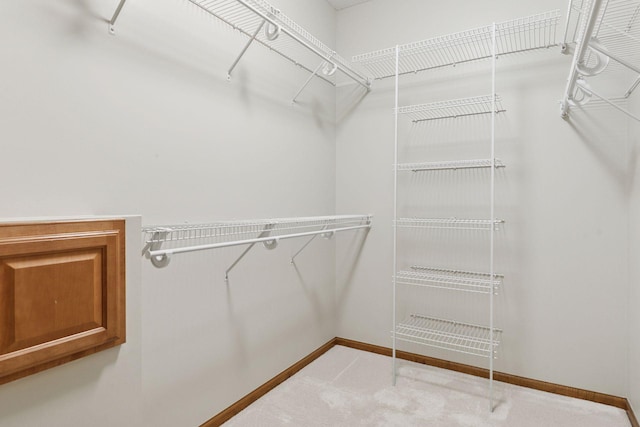 walk in closet featuring carpet