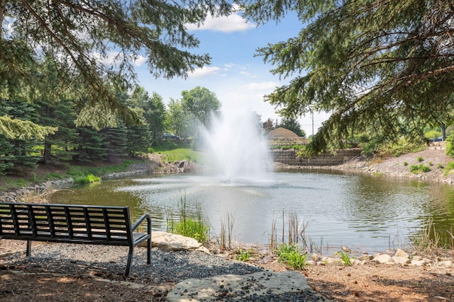property view of water