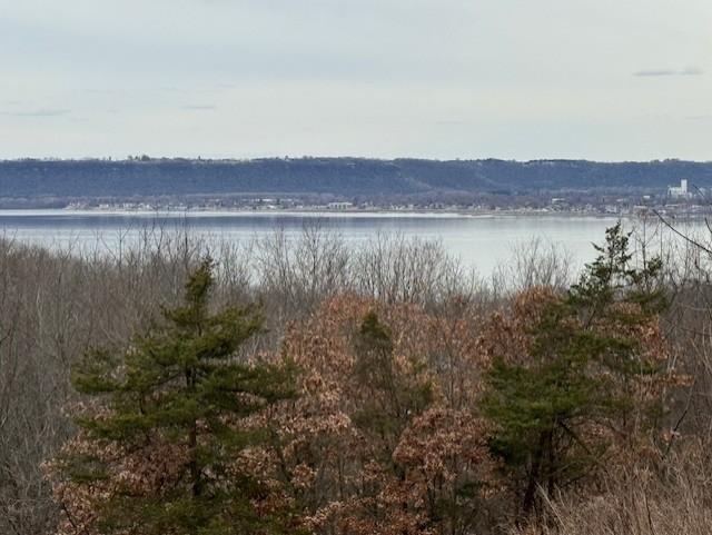 W11598 S Bluff Rd, Stockholm Twp, WI 54769 - photo 6
