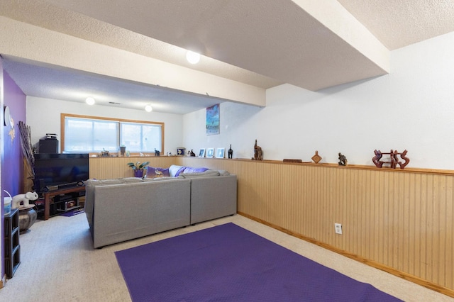 laundry area featuring wainscoting, a textured ceiling, and carpet