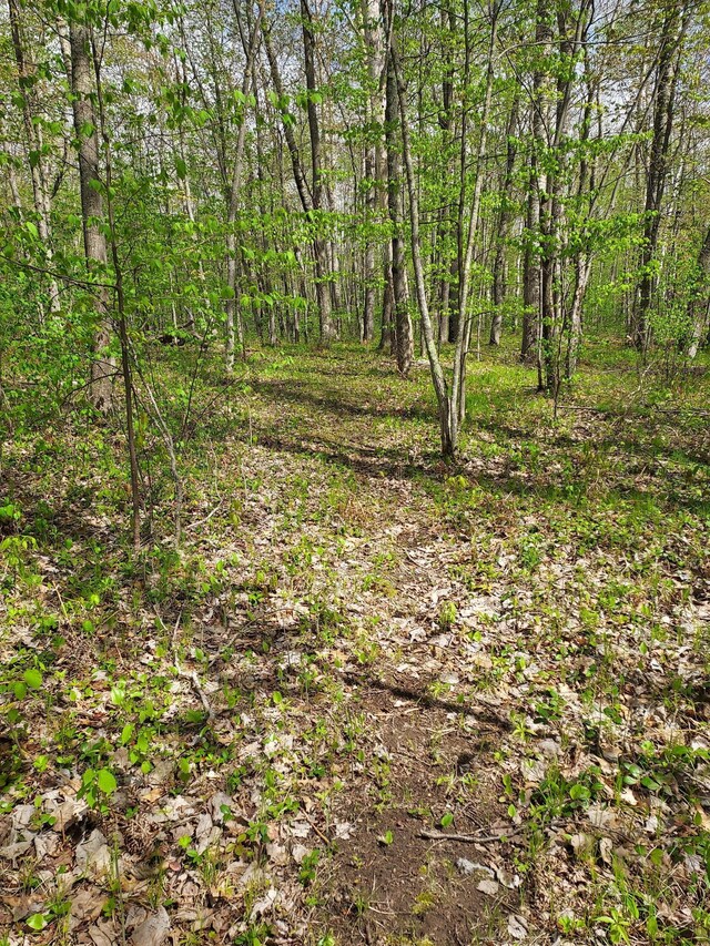 64100 Ruth Lake Rd, Iron River, WI 54847