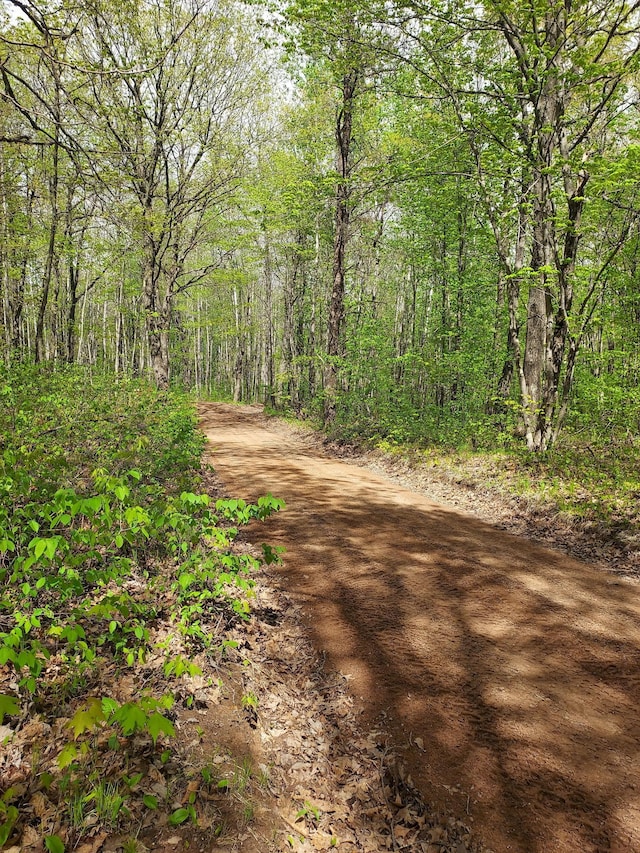 64100 Ruth Lake Rd, Iron River, WI 54847