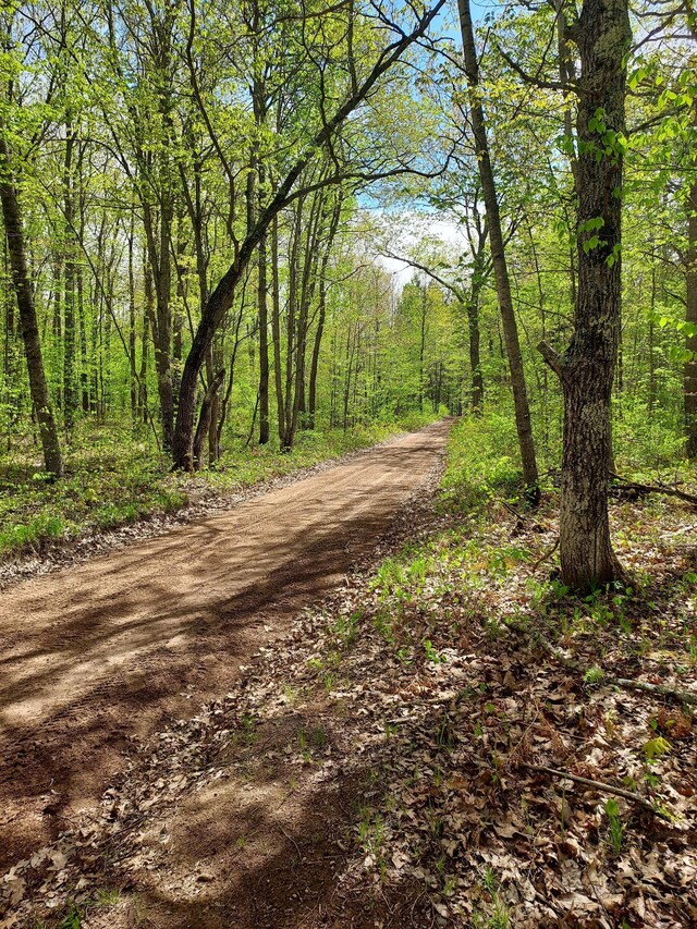 64100 Ruth Lake Rd, Iron River, WI 54847