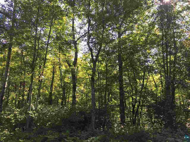 64100 Ruth Lake Rd, Iron River, WI 54847