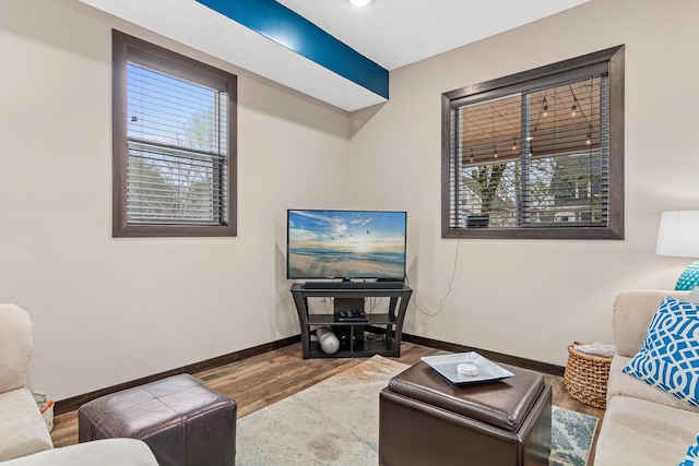 living area with baseboards, plenty of natural light, and wood finished floors