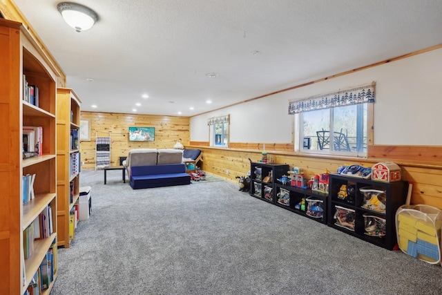 710 Rush Creek Ln, Rush City, MN 55069 - playroom featuring recessed lighting, wood walls, carpet, and wainscoting