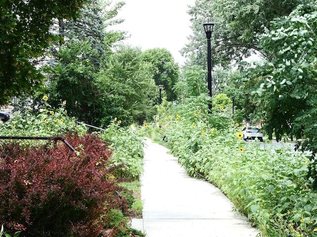 4536 Grand Ave S, Minneapolis, MN 55419 - photo 27