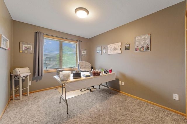 29107 Danel Ave, Randolph, MN 55065 - carpeted office space featuring baseboards