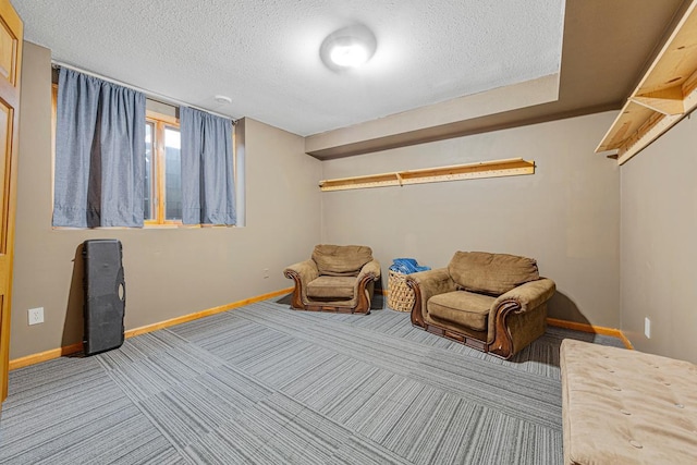 29107 Danel Ave, Randolph, MN 55065 - sitting room featuring baseboards, a textured ceiling, and carpet floors