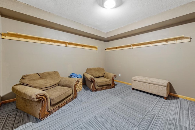 29107 Danel Ave, Randolph, MN 55065 - sitting room featuring carpet and baseboards