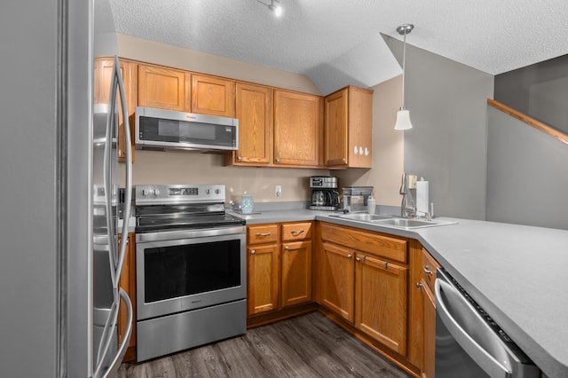 kitchen with dark wood-style floors, a sink, a textured ceiling, and appliances with stainless steel finishes