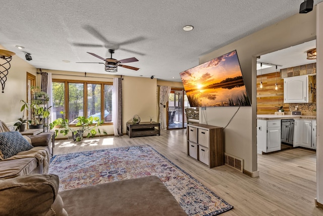 1302 Birch Dr, Hudson, WI 54016 - living area with plenty of natural light, a ceiling fan, a textured ceiling, light wood finished floors, and baseboards