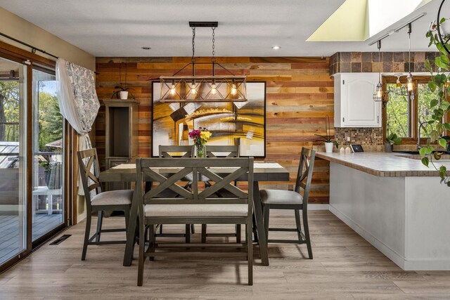 1302 Birch Dr, Hudson, WI 54016 - dining space with healthy amount of natural light, wooden walls, light wood-style flooring, recessed lighting, and rail lighting