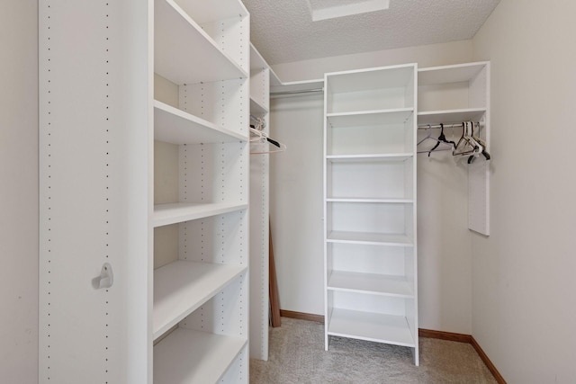 2117 14th St NE, Faribault, MN 55021 - spacious closet with light carpet