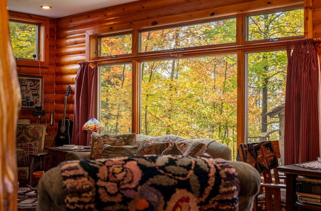 51641 Edgewater Rd, Spring Lake, MN 56680 - detailed view of log walls