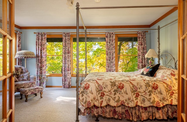 51641 Edgewater Rd, Spring Lake, MN 56680 - bedroom featuring ornamental molding, carpet flooring, and baseboards