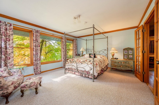 51641 Edgewater Rd, Spring Lake, MN 56680 - carpeted bedroom featuring baseboards and crown molding