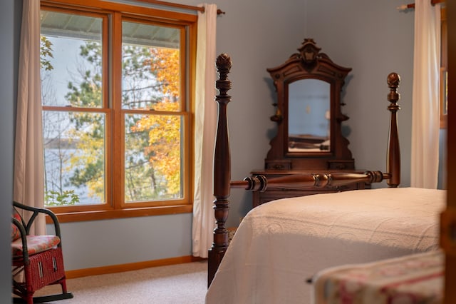 51641 Edgewater Rd, Spring Lake, MN 56680 - carpeted bedroom featuring baseboards