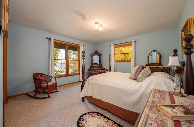 51641 Edgewater Rd, Spring Lake, MN 56680 - bedroom with baseboards and carpet floors