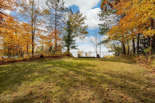 51641 Edgewater Rd, Spring Lake, MN 56680 - view of green lawn