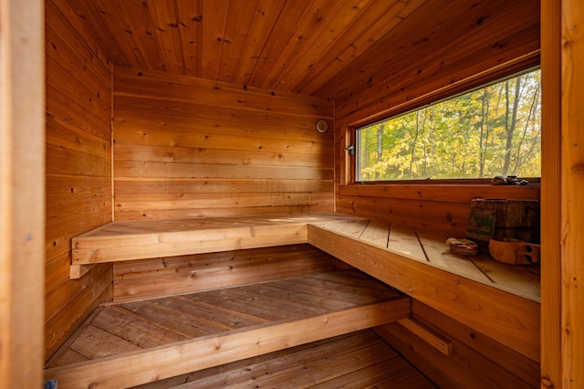 51641 Edgewater Rd, Spring Lake, MN 56680 - sauna / steam room with wood walls and wooden ceiling