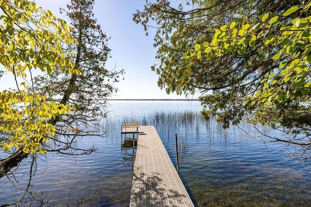 51641 Edgewater Rd, Spring Lake, MN 56680 - dock area featuring a water view