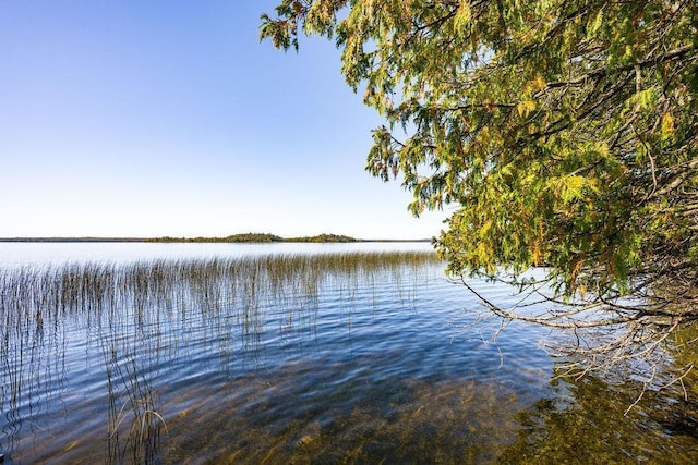 51641 Edgewater Rd, Spring Lake, MN 56680 - water view
