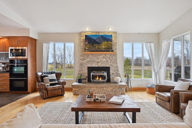 living area featuring wood finished floors, a wealth of natural light, and a fireplace