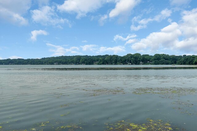 20835 Drumflower Rd, Richmond, MN 56368 - photo 2