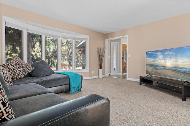 1337 Kenilworth Dr, Woodbury, MN 55125 - living area with baseboards and carpet