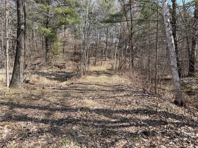 view of local wilderness with a view of trees