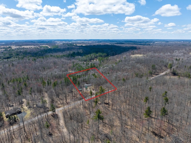drone / aerial view with a forest view