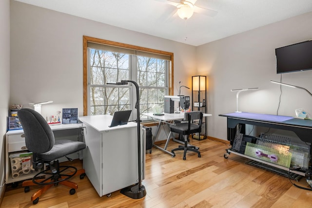 home office with light wood-style floors and ceiling fan