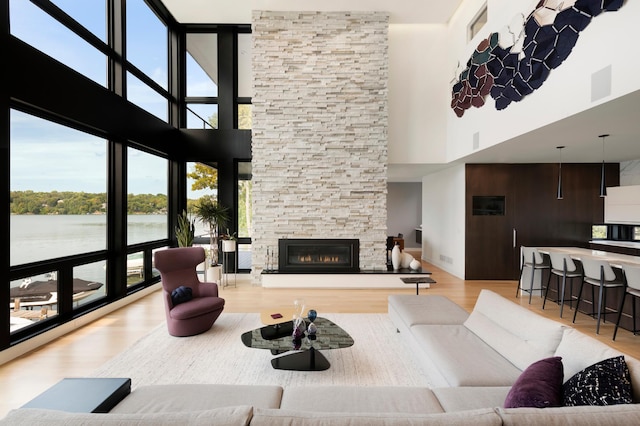 3701 Upton Ave S, Minneapolis, MN 55410 - living area with a stone fireplace, a high ceiling, wood finished floors, and a water view