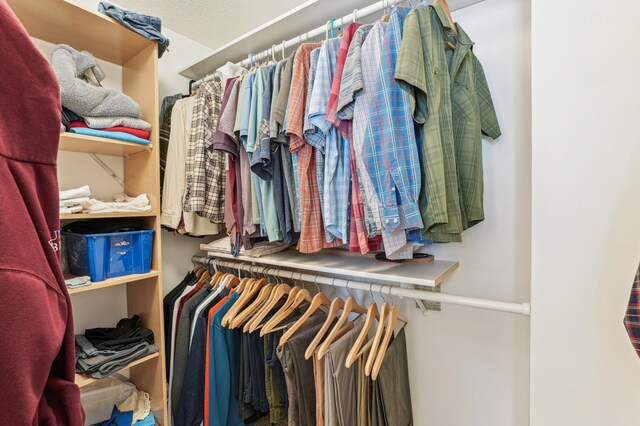 view of spacious closet
