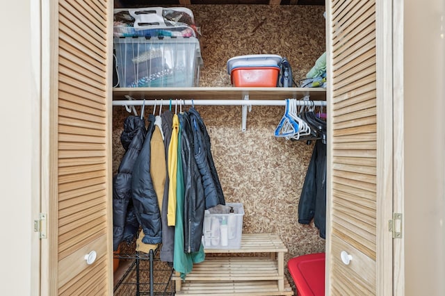 view of closet
