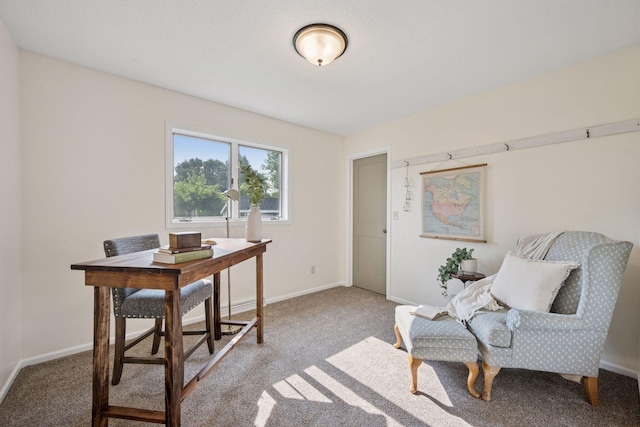 11 6th Ave S, Sartell, MN 56377 - carpeted office space featuring baseboards