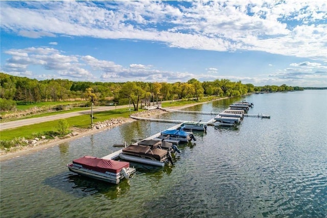 water view with a wooded view and a floating dock