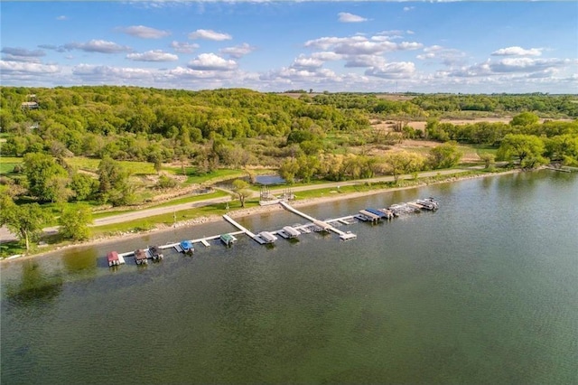 drone / aerial view featuring a view of trees and a water view