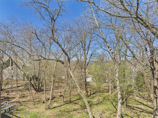 view of landscape