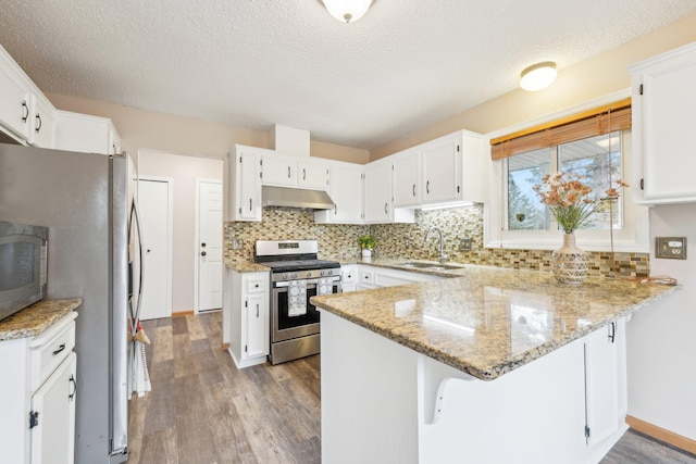 kitchen with a sink, stainless steel appliances, a peninsula, wood finished floors, and under cabinet range hood