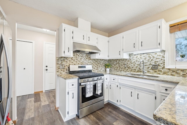 kitchen featuring a sink, dark wood finished floors, appliances with stainless steel finishes, and under cabinet range hood