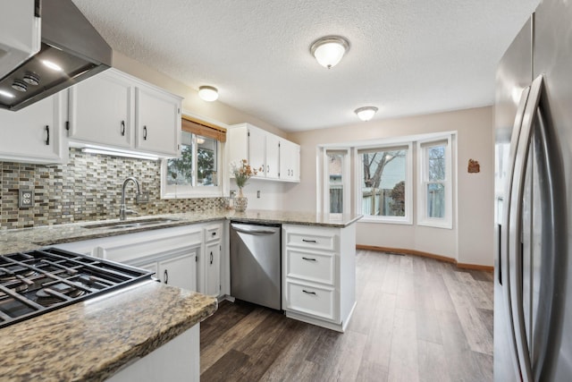 kitchen featuring light stone countertops, appliances with stainless steel finishes, a sink, decorative backsplash, and range hood