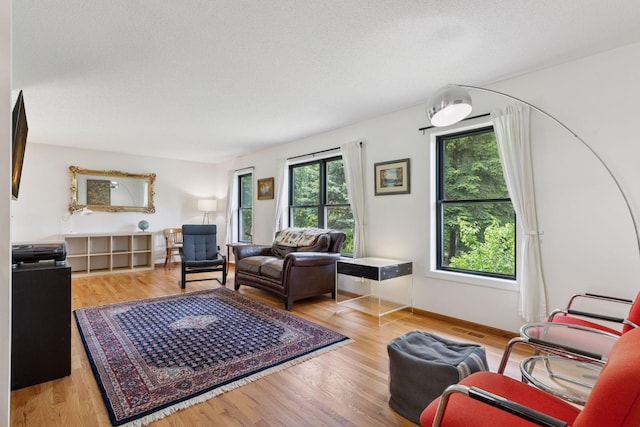 1283 Bidwell St, West Saint Paul, MN 55118 - living room with wood finished floors